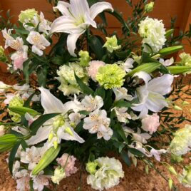 追悼ミサ(2025年11月12日)のご報告