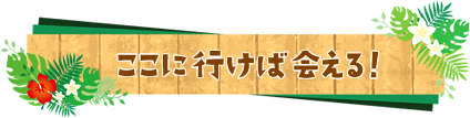 ここに行けば会える